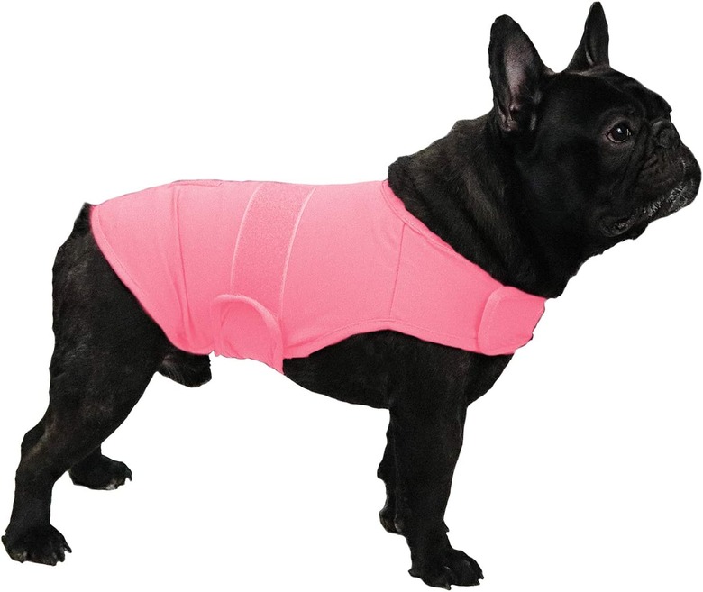 KittyStar Breathable Dog Shirt for Thunderstorm