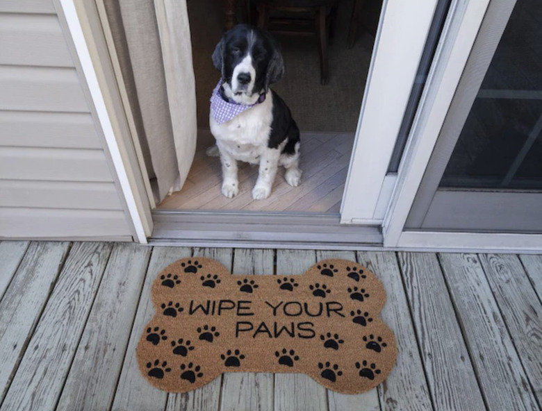 Entryways "Wipe Your Paws" Bone Shape Doormat