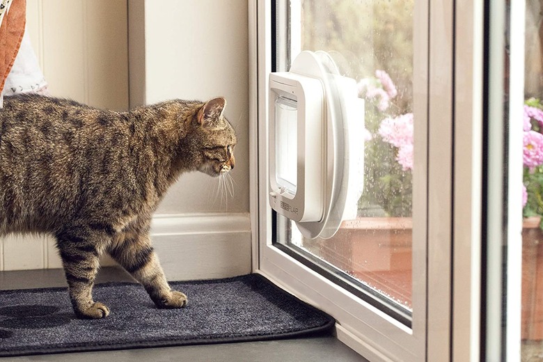 SureFlap Microchip Cat Door