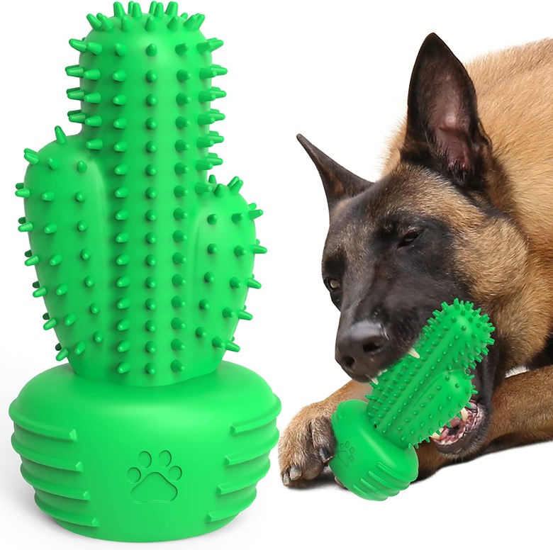 Pamlulu Cactus Dog Toothbrush Stick