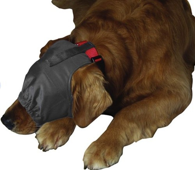 ThunderCap Calming Cap for Dogs