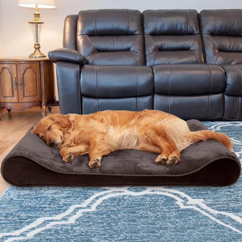 Minky Plush Velvet Luxe Lounger Dog Contour Pillow