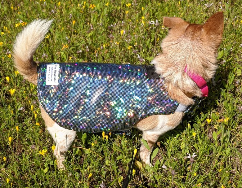 PawsitiveInnovations The Hawk Star Pet Protection Vest