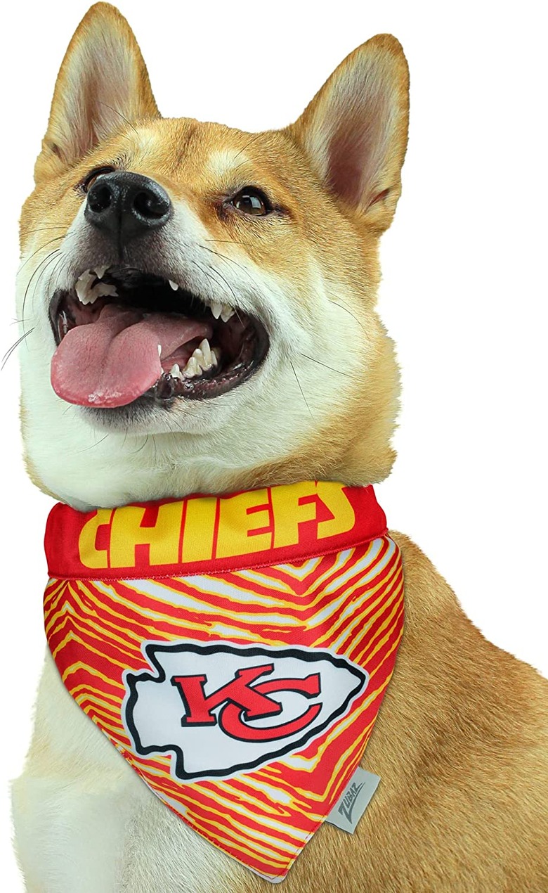 Zubaz NFL Team Reversible Pet Bandana for Dogs and Cats