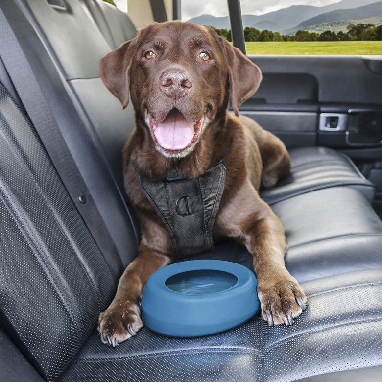 Kurgo Splash-Free, No-Spill Dog Travel Bowl