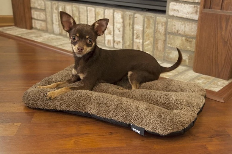 Sport Pet Waterproof Pet Bed