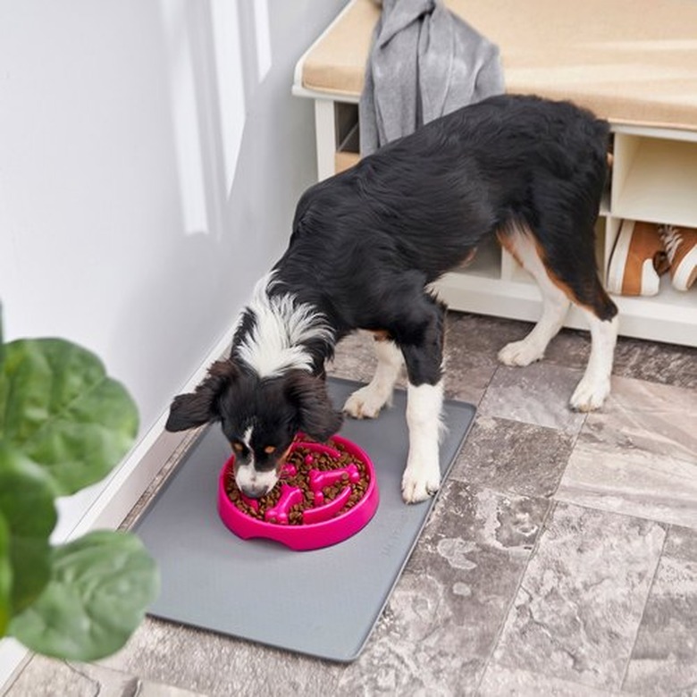 Frisco Bone Shaped Ridges Slow Feed Bowl