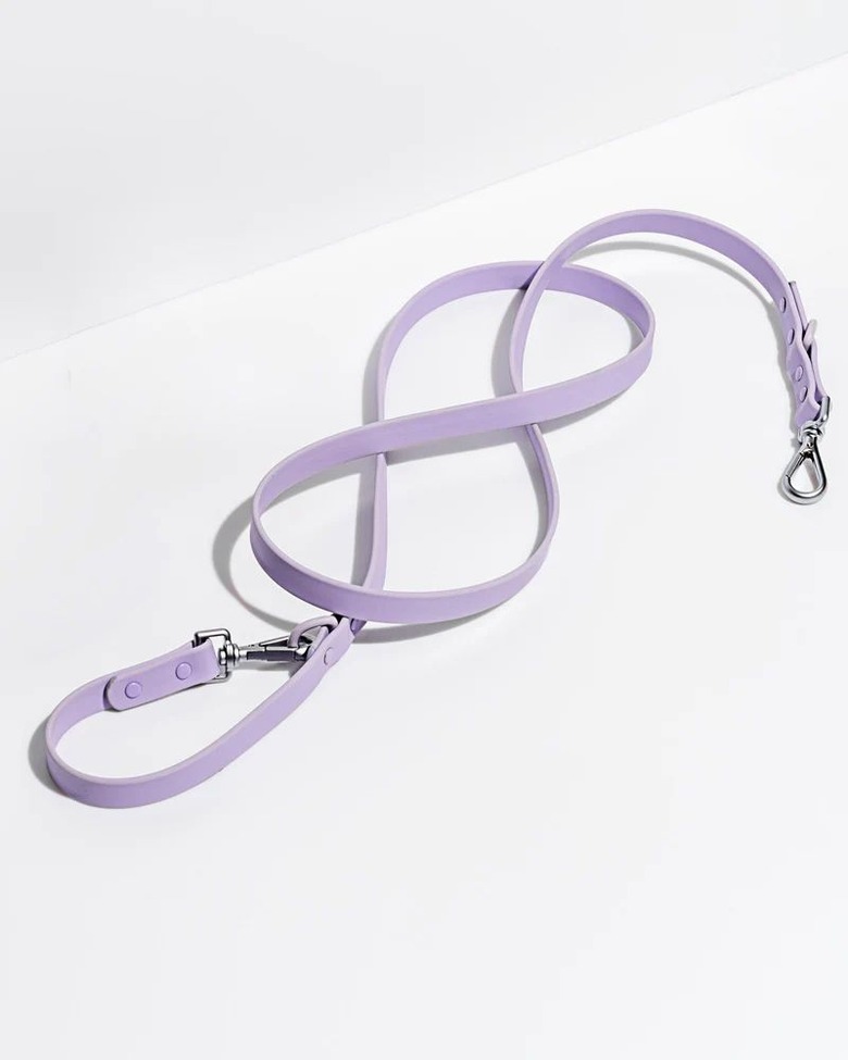 Wild One Leash