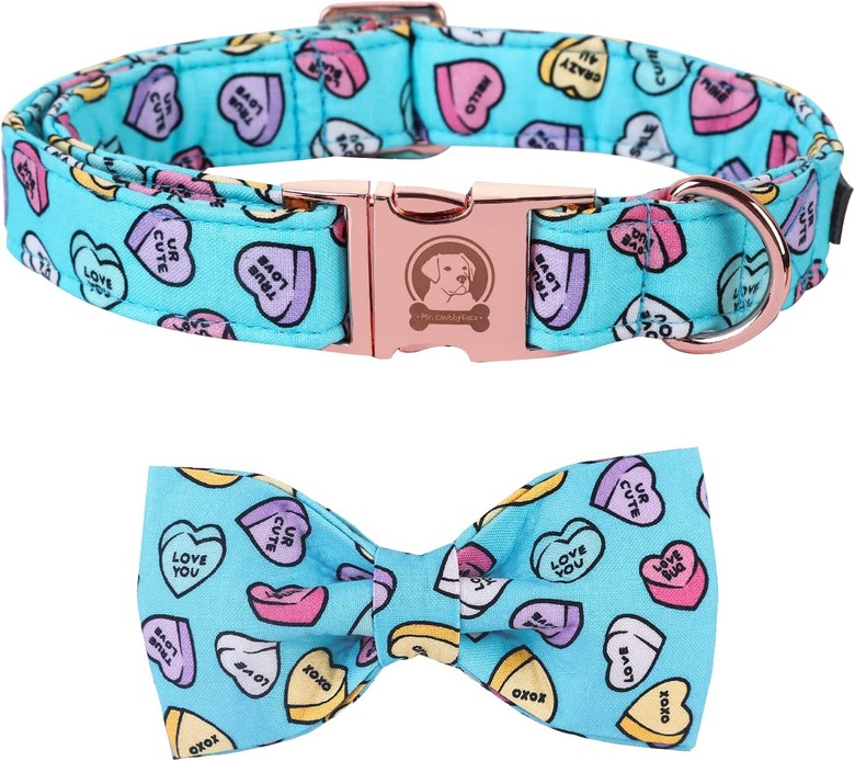 Mr.Chubbyface Dog Collar With Dog Bow Tie