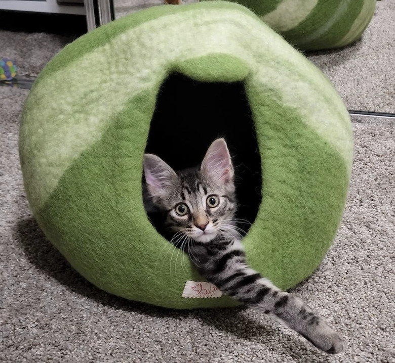 MyChiby Organic Wool Cat Cave Bed