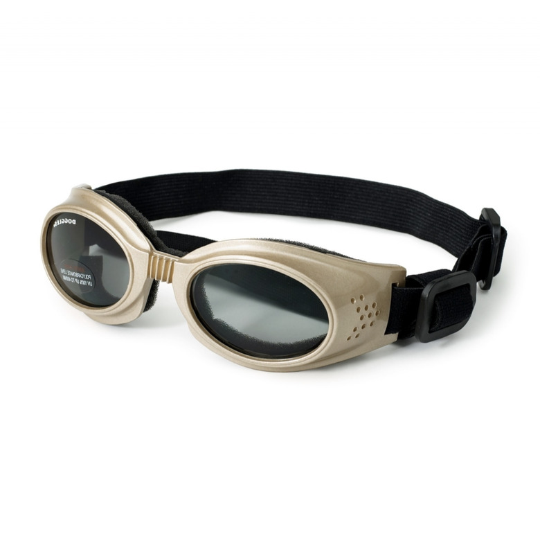 Doggles Originalz Chrome Frame With Smoke Lens