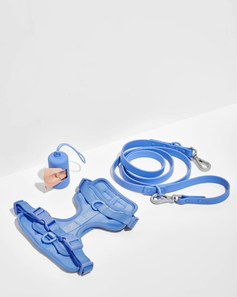 Wild One Harness Walk Kit