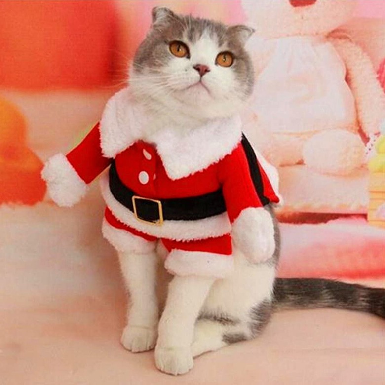 Bolbove Pet Santa Claus Suit