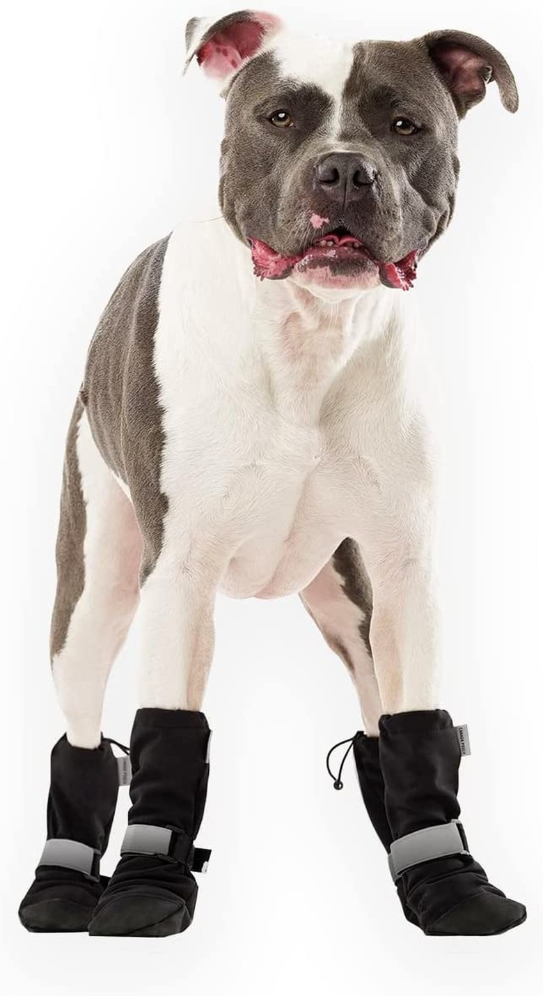 Canada Pooch Soft Shield Dog Winter Boots