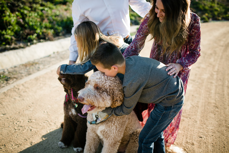 Kids Loving on Labradoodles While Mom Watches