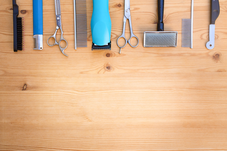 Collection grooming  equipment on the table. Flat lay.