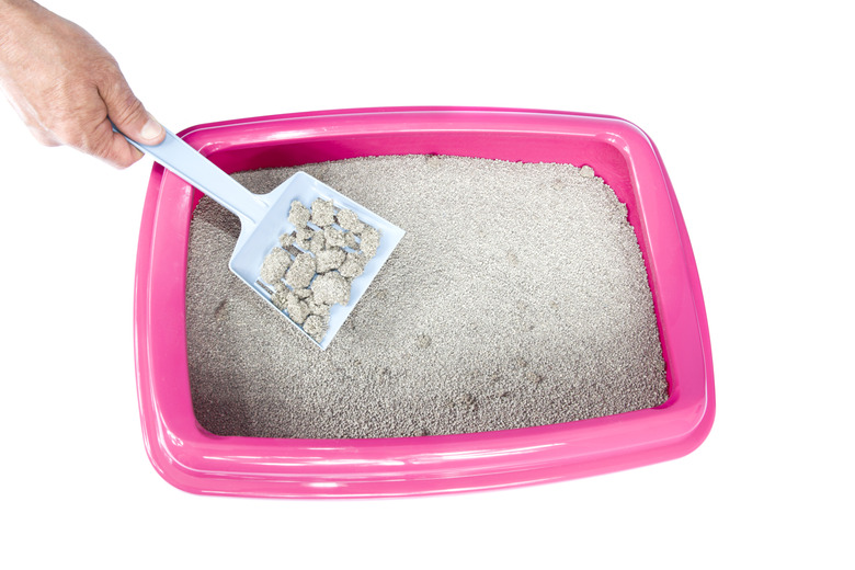 How often should change cat litter hotsell