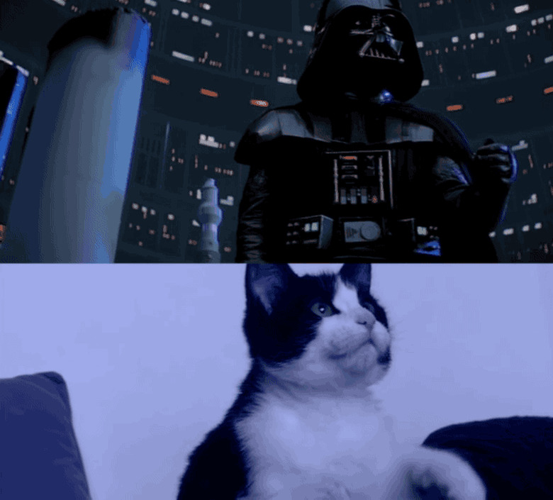 Join me, and together, we can rule the galaxy as father and feline!