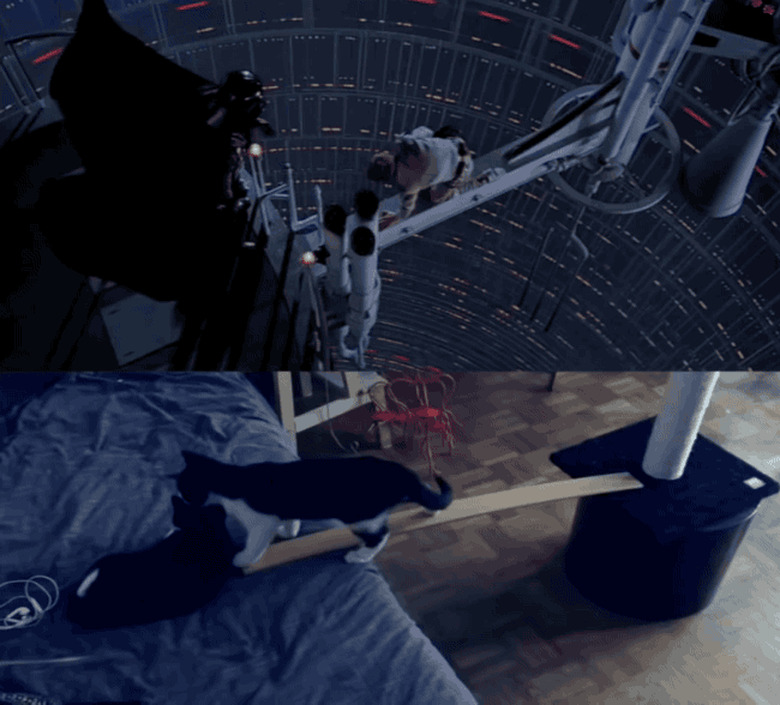 Luke on the Bespin catwalk vs cat on the Bespin catwalk