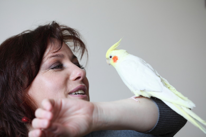 parrot and woman