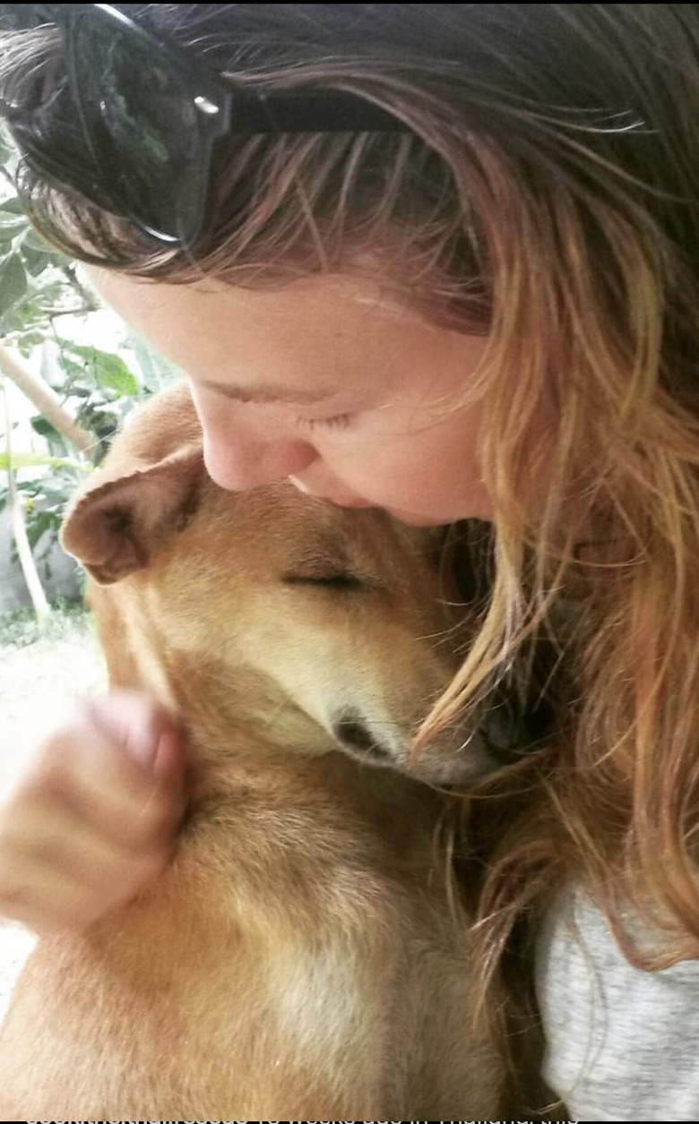 woman rescues stray dog from Thailand.