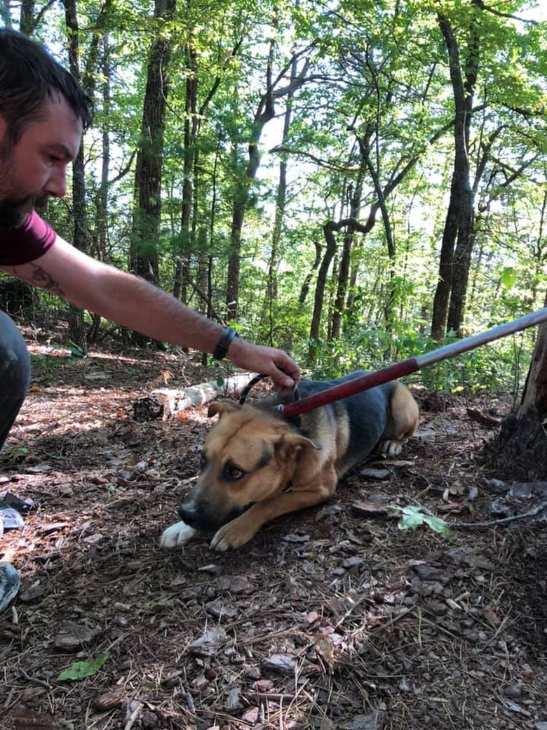 man saves dog from mine shaft.