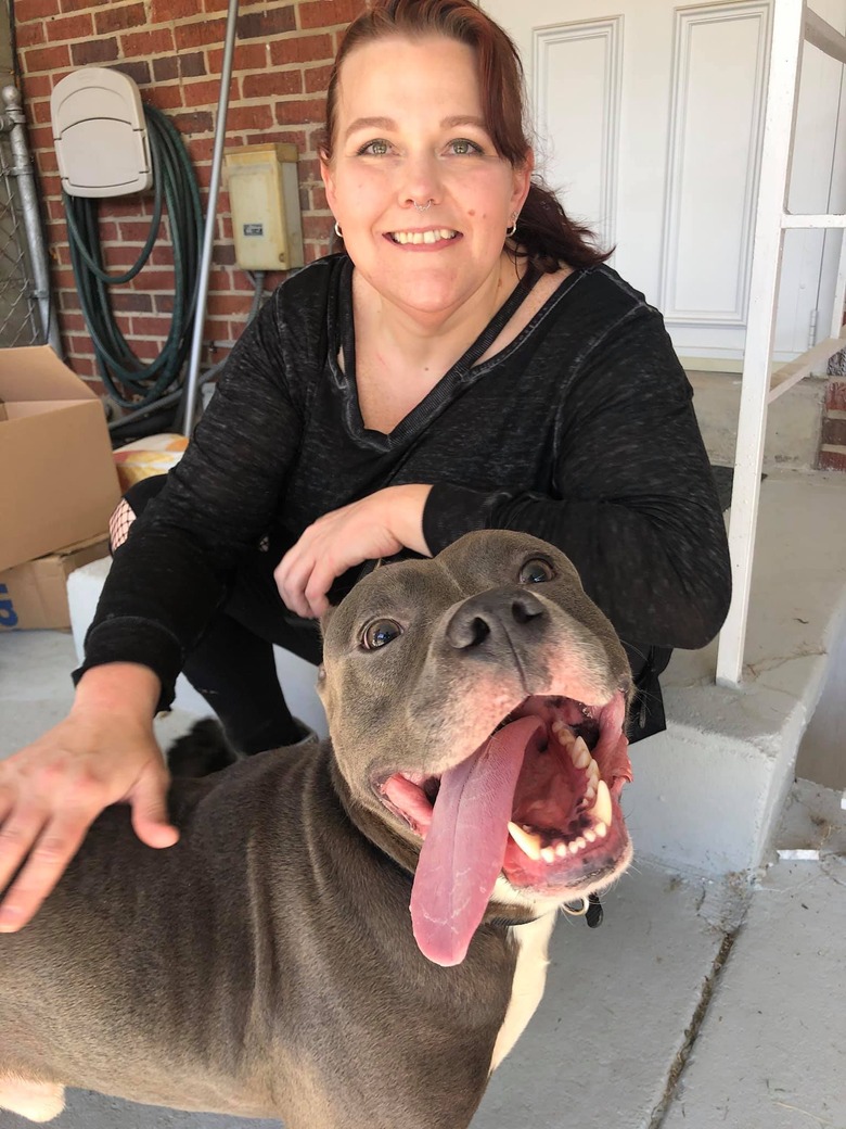 pit bull smiling