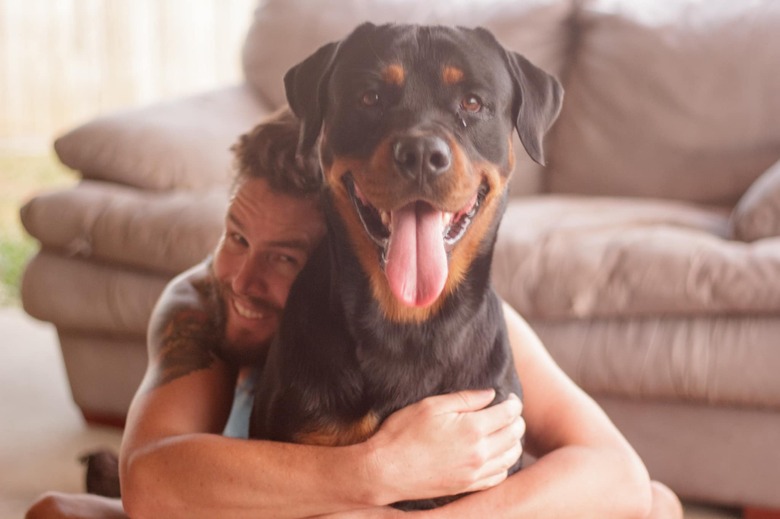 big dog smiles for cheese