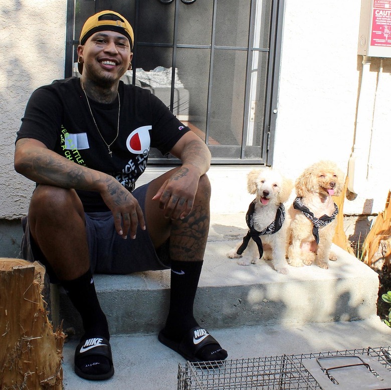 smiling dogs sit with man on stoop