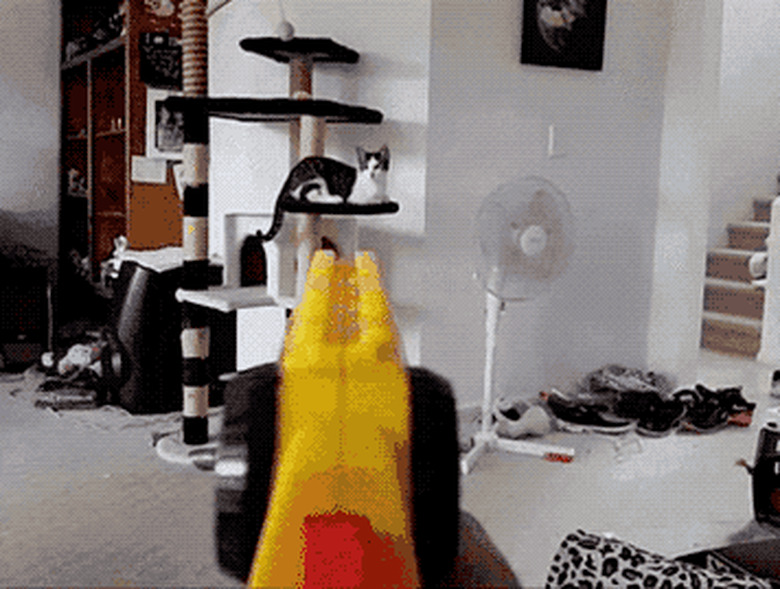 cat fetches nerf darts