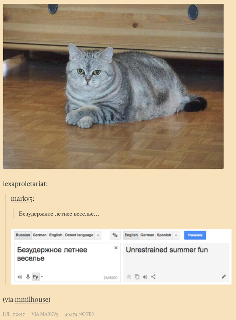 New Tumblr collects poorly translated cat captions from Russian