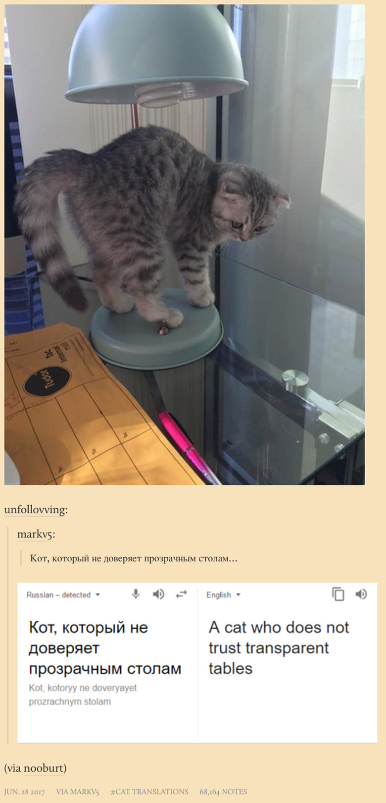 New Tumblr collects poorly translated cat captions from Russian