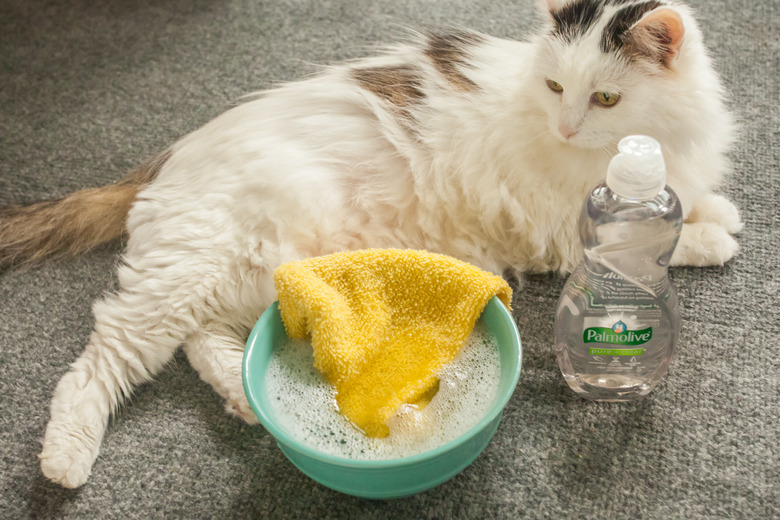 Tips For Bathing A Pet With Palmolive Cuteness