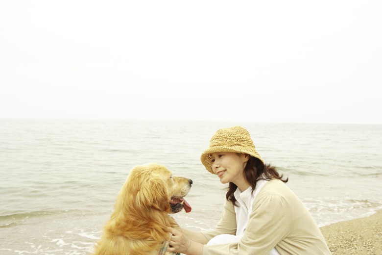 Mature woman petting her dog at a beach