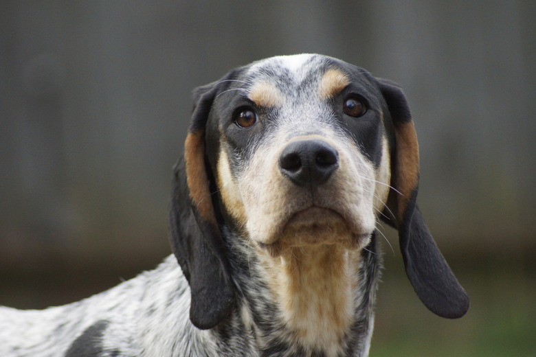 Hubert portrait