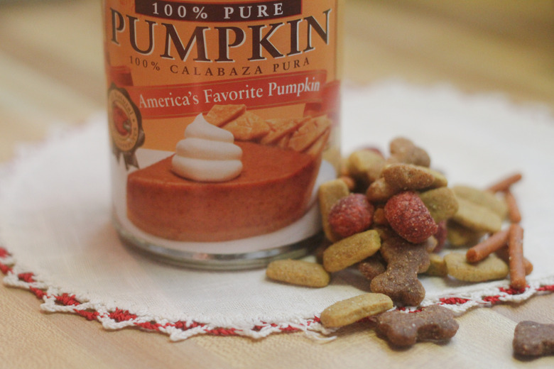 Dog diarrhea pumpkin puree best sale