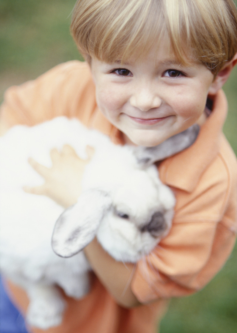 Boy (4-5) holding pet rabbit, portrait