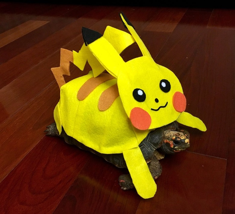 tortoise in pikachu costume