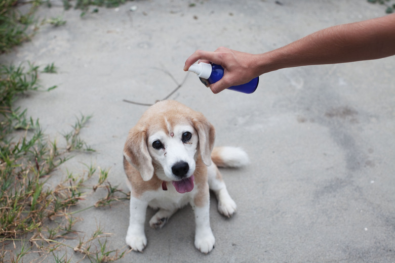 Skin So Soft being sprayed on dog's skin