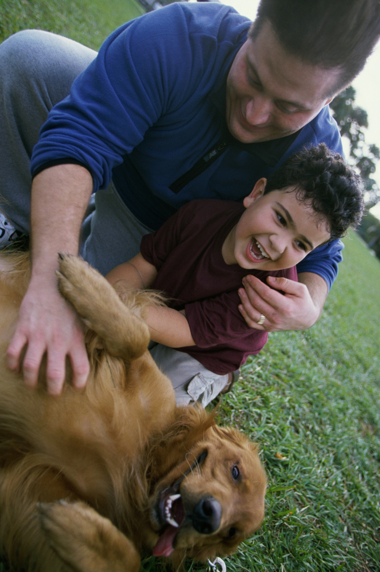 Father and his son playing with their dog