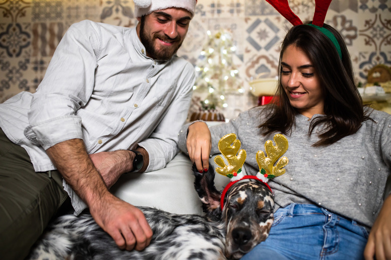 A couple enjoying Christmas with their dog