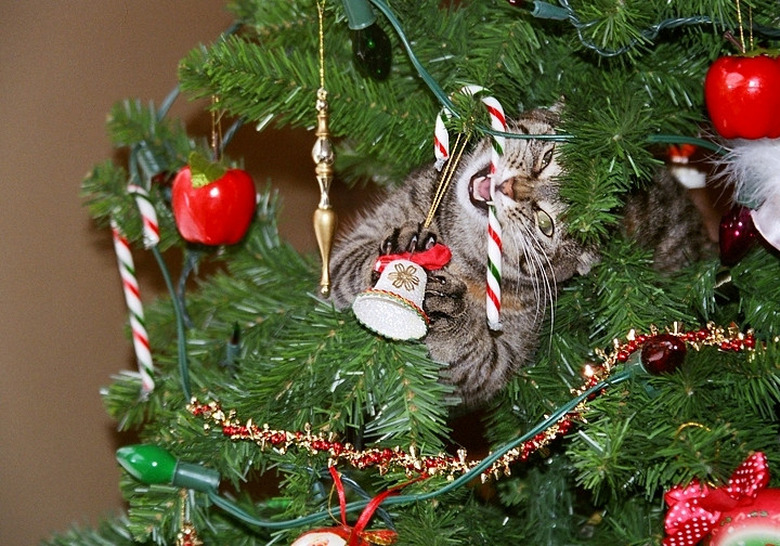 cat creating mischief inside a fake christmas tree