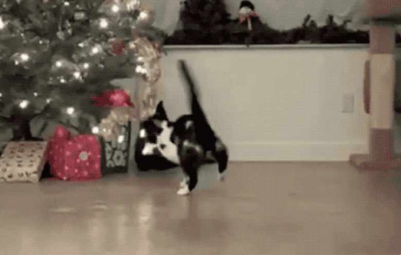 gif of cat pulling lights of christmas tree