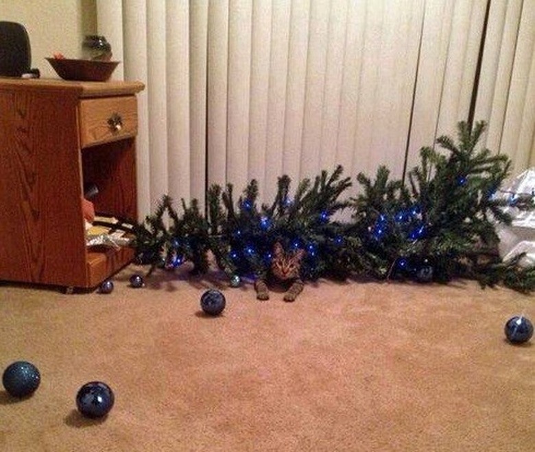 Wreck The Halls 18 Pictures Of Cats Destroying Christmas Trees Cuteness