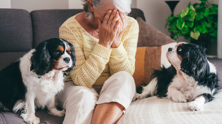 An older woman cries while her two dogs look on