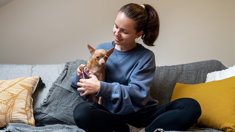 A woman smiles while trimming a small dog's nails on a sofa