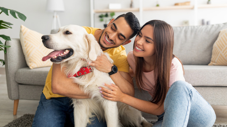 man and woman holding golden retriever dog