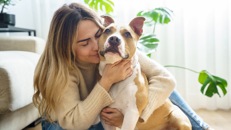 woman hugging and smelling pitbull dog