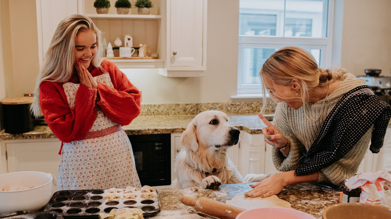 A golden retriever attempting to reach the counter.