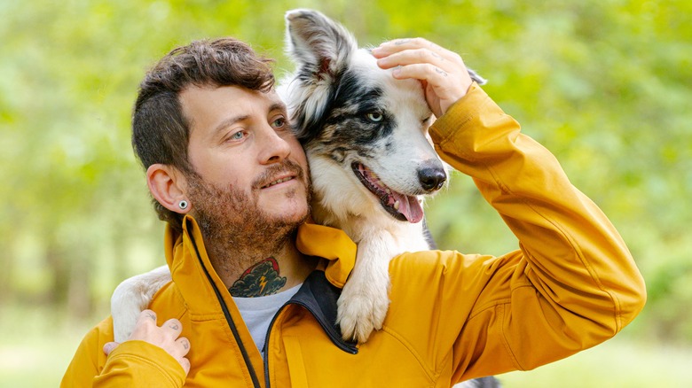 blue-eyed border collie